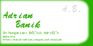 adrian banik business card